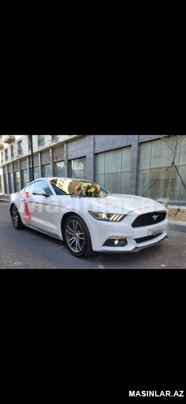 Ford S mustang, 2016 il