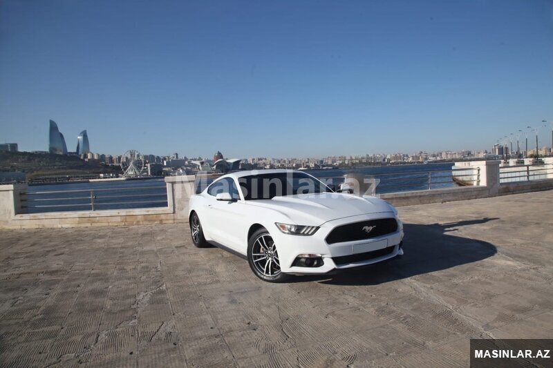 Ford Mustang Coupe toy üçün, 2017 il