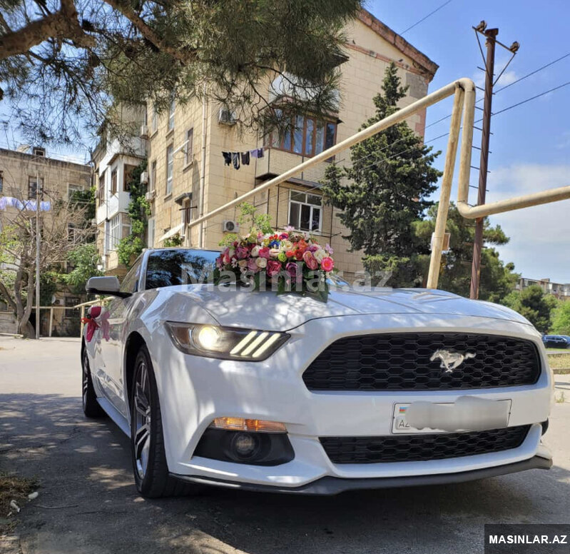 Ford Mustang s, 2018 il