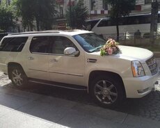 Cadillac Eslacade 6.2 motor, 2013 il