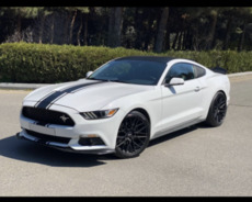 Ford Mustangg s, 2017 il