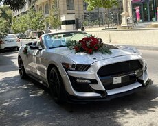 Ford Mustang Shelbi Toy maşıni