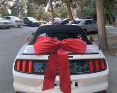 Ford Mustang Toy üçün, 2018 il