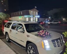 Cadillac Escalade Long, 2014 il
