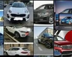 Hyundai sedan ve cipler, 2017 il