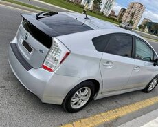 Toyota Pirus, 2010 il