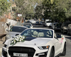 Ford Mustang Carfak, 2017 il