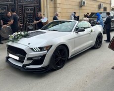 Ford Mustang Shelbi, 2021 il