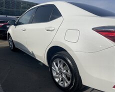 Toyota Carolla, 2019 il