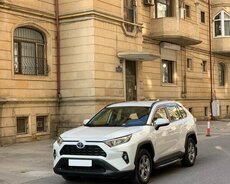 Toyota Rav 4 Hybrid, 2023 il