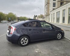 Toyota Prius, 2013 il