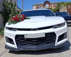 Chevrolet Camaro cupe, 2014 il