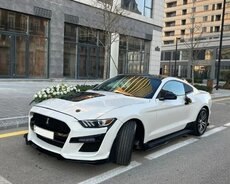 Ford Mustang Shelby, 2017 il