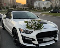 Ford Mustang Shelby, 2017 il