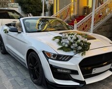 Ford Mustang Cabrio, 2017 il