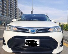 Toyota Fielder, 2019 il