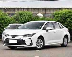 Toyota Corolla, 2024 il