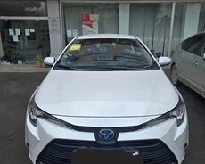 Toyota Corolla Levin, 2024 il