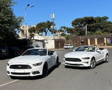 Ford Mustang Gt, 2017 il