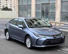 Toyota Corolla, 2019 il