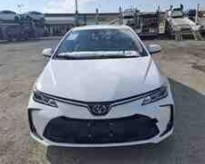 Toyota Corolla, 2024 il