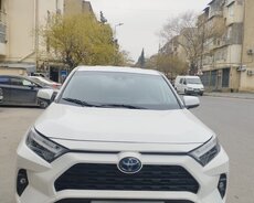 Toyota Raw4, 2022 il
