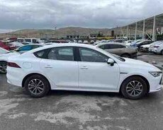BYD Qin Plus, 2024 il