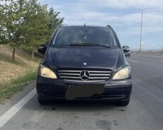 Mercedes Viano, 2006 il