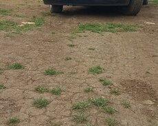 Mercedes 190, 1993 il