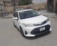 Toyota Corolla, 2019 il