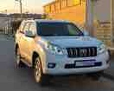 Toyota Prado, 2010 il