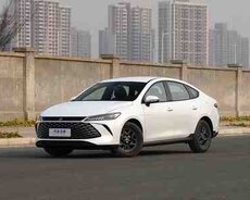 BYD Qin Plus, 2025 il