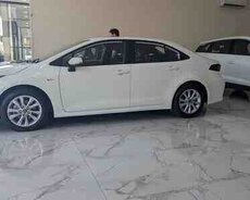 Toyota Corolla, 2025 il