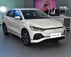 BYD e2, 2025 il