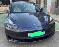 Tesla Model 3, 2022 il
