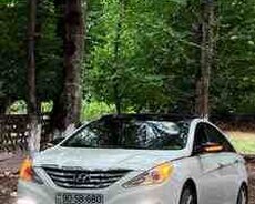 Hyundai Sonata, 2010 il