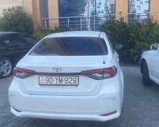 Toyota Corolla, 2025 il