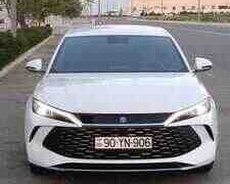 BYD Qin L, 2025 il