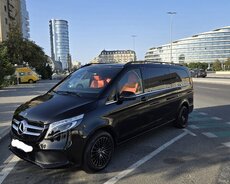 Mercedes Viano, 2024 il