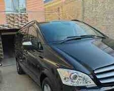Mercedes Viano, 2015 il