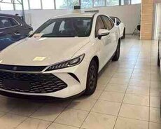 BYD Qin Plus, 2025 il