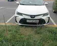 Toyota Corolla, 2024 il