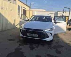 BYD Qin Plus, 2025 il