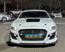 Ford Mustang Shelby, 2019 il