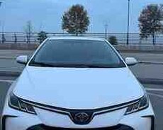 Toyota Corolla, 2024 il