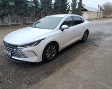 BYD 05, 2025 il
