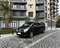 Mercedes Viano, 2018 il