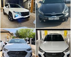 Kia kia rio.2022, 2022 il