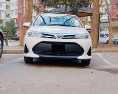 Toyota Filder, 2020 il