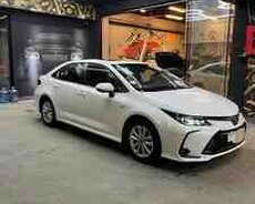 Toyota Corolla, 2025 il